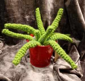 ALOE VERA 1023/P/0016